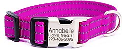Mimi Green Nylon Personalized Reflective Hybrid Buckle Dog Collar, Raspberry, Medium/Large