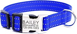 Mimi Green Nylon Personalized Reflective Hybrid Buckle Dog Collar, Royal Blue, Small