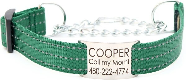 Mimi Green Nylon Personalized Reflective Martingale Dog Collar with Chain