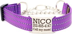 Mimi Green Nylon Personalized Reflective Martingale Dog Collar with Chain, Purple, Large: 18 to 22-in neck, 1-in wide
