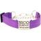 Show in main carousel: Mimi Green Nylon Personalized Reflective Martingale Dog Collar with Chain, Purple, Large: 18 to 22-in neck, 1-in wide slide 1 of 4
