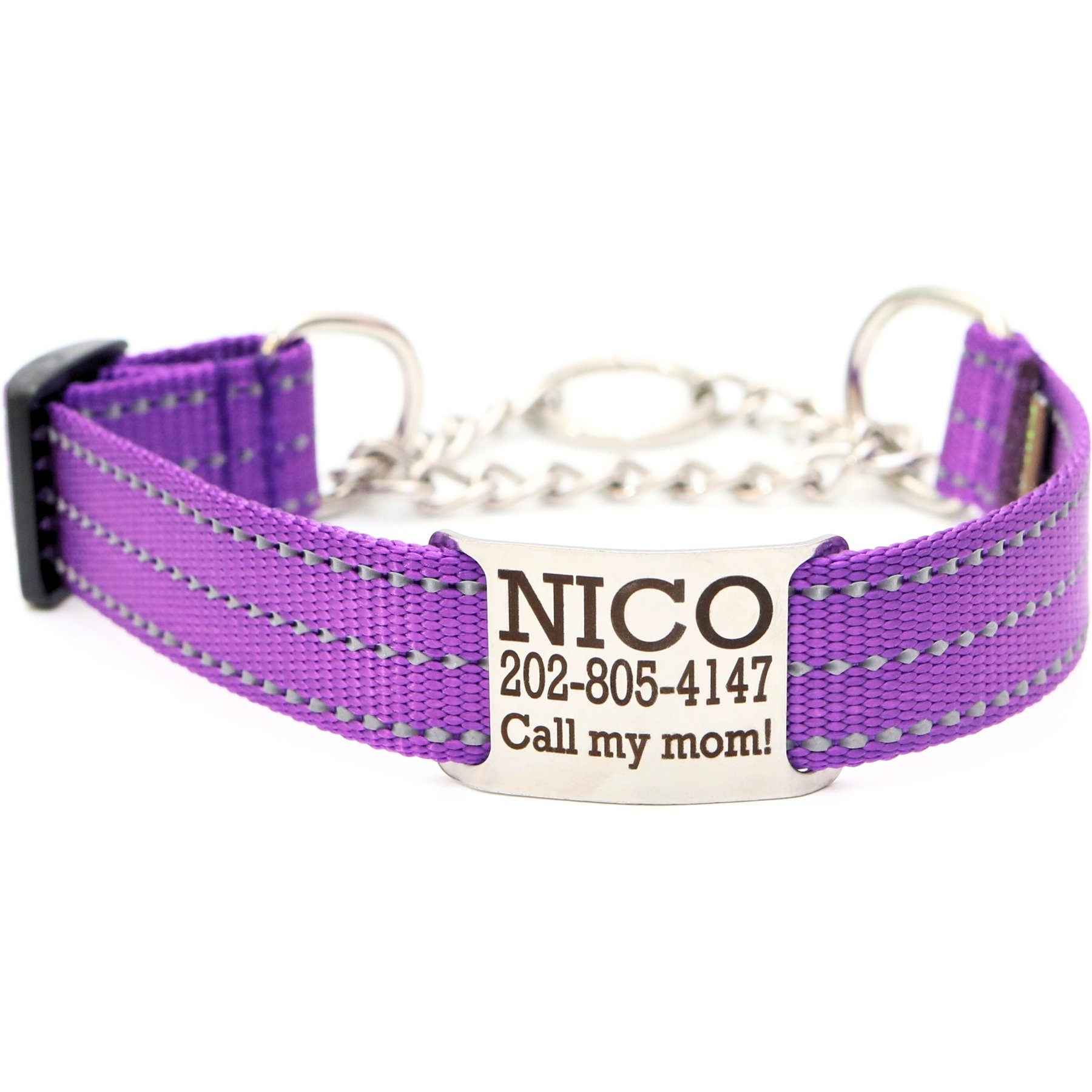 Mimi Green Nylon Personalized Reflective Martingale Dog Collar with Chain, Purple, Medium/Large: 15 to 18-in neck, 1-in wide