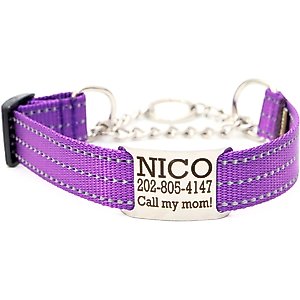 Mimi Green Nylon Personalized Reflective Martingale Dog Collar with Chain, Purple, X-Large: 22 to 26-in neck, 1-in wide