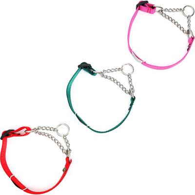 Show full view: Mimi Green Nylon Personalized Reflective Martingale Dog Collar with Chain, Raspberry, Medium/Large: 15 to 18-in neck, 1-in wide slide 4 of 5