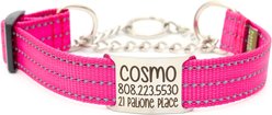 Mimi Green Nylon Personalized Reflective Martingale Dog Collar with Chain, Raspberry, Small: 9 to 12-in neck, 3/4-in wide