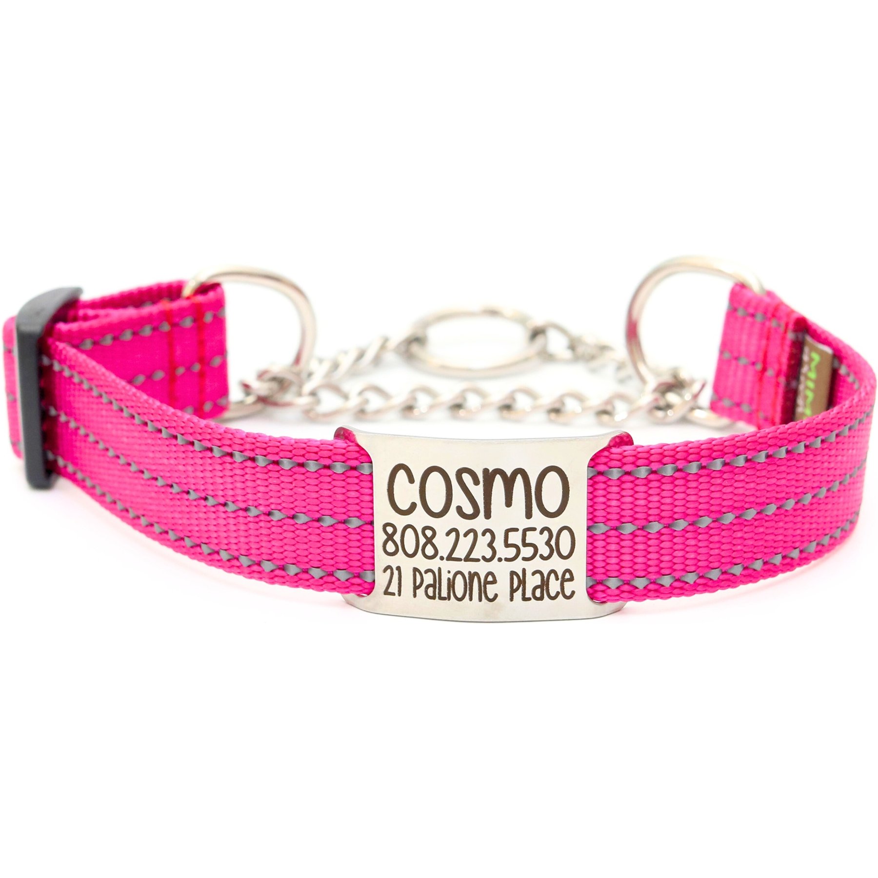 Mimi Green Nylon Personalized Reflective Martingale Dog Collar with Chain, Raspberry, X-Large: 22 to 26-in neck, 1-in wide