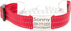 Mimi Green Nylon Personalized Reflective Martingale Dog Collar with Chain, Red, Large: 18 to 22-in neck, 1-in wide