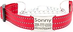 Mimi Green Nylon Personalized Reflective Martingale Dog Collar with Chain, Red, Small: 9 to 12-in neck, 3/4-in wide slide 1 of 4