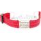 Show in main carousel: Mimi Green Nylon Personalized Reflective Martingale Dog Collar with Chain, Red, Small: 9 to 12-in neck, 3/4-in wide slide 1 of 5
