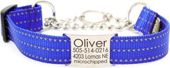 Mimi Green Nylon Personalized Reflective Martingale Dog Collar with Chain, Royal Blue, Medium/Large: 15 to 18-in neck, 1-in wide