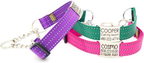 Show full view: Mimi Green Nylon Personalized Reflective Martingale Dog Collar with Chain, Royal Blue, Medium/Large: 15 to 18-in neck, 1-in wide slide 2 of 4