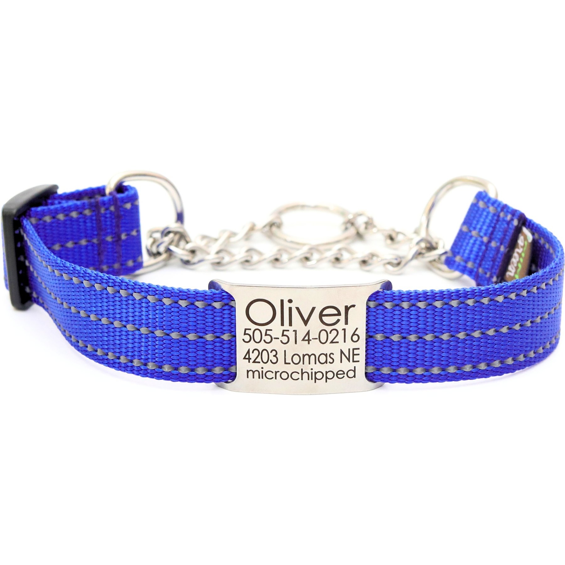 Mimi Green Nylon Personalized Reflective Martingale Dog Collar with Chain, Royal Blue, Small: 9 to 12-in neck, 3/4-in wide