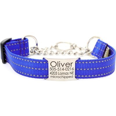 Mimi Green Mimi Green Nylon Personalized Reflective Martingale Dog Collar with Chain, Royal Blue, X-Large, 22-26-in neck, 1-in wide, 1 count