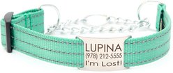 Mimi Green Nylon Personalized Reflective Martingale Dog Collar with Chain, Teal, Small: 9 to 12-in neck, 3/4-in wide