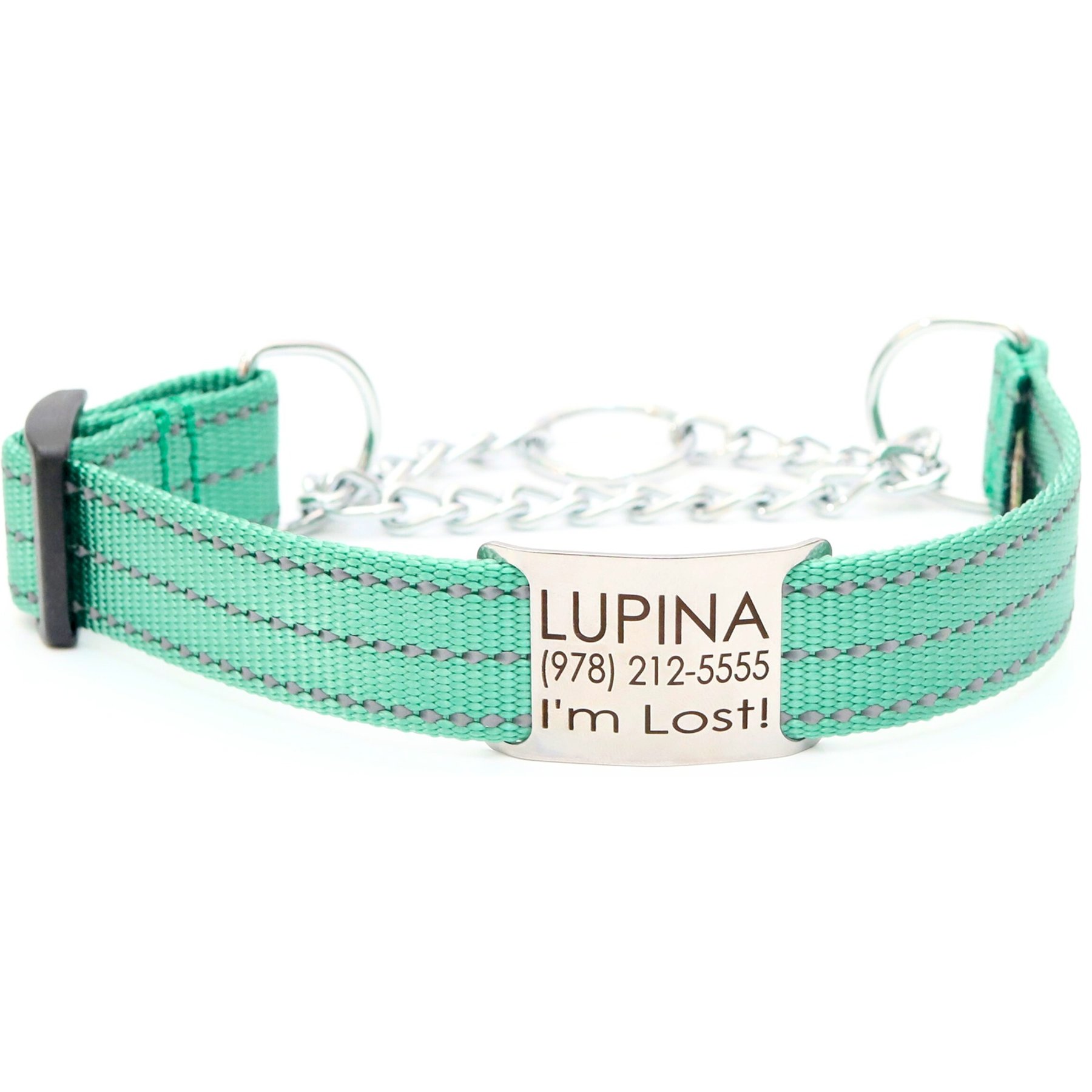 Mimi Green Nylon Personalized Reflective Martingale Dog Collar with Chain, Teal, Small: 9 to 12-in neck, 3/4-in wide