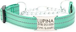 Mimi Green Nylon Personalized Reflective Martingale Dog Collar with Chain, Teal, X-Large: 22 to 26-in neck, 1-in wide