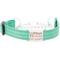 Show in main carousel: Mimi Green Nylon Personalized Reflective Martingale Dog Collar with Chain, Teal, X-Large: 22 to 26-in neck, 1-in wide slide 1 of 4