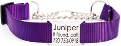 Mimi Green Personalized Chain Martingale Dog Collar, Purple, Small