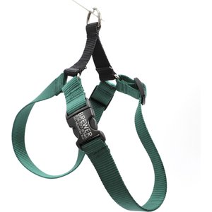 Mimi Green Personalized Nylon Harness with Black Plastic Buckle Dog Harness
