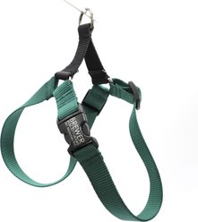 Mimi Green Personalized Nylon Harness with Black Plastic Buckle Dog Harness, Forest Green, Medium 5/8"