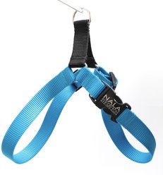 Mimi Green Personalized Nylon Harness with Black Plastic Buckle Dog Harness, Peacock Blue, Small