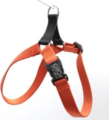 Mimi Green Personalized Nylon Harness with Black Plastic Buckle Dog Harness, Pumpkin, X-Large