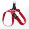 Show in main carousel: Mimi Green Personalized Nylon Harness with Black Plastic Buckle Dog Harness, Red, Medium 5/8" slide 1 of 8