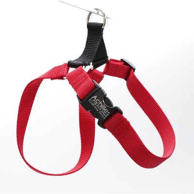 Mimi Green Mimi Green Personalized Nylon Harness with Black Plastic Buckle Dog Harness, Red, XX-Large