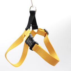 Mimi Green Personalized Nylon Harness with Black Plastic Buckle Dog Harness, Yellow, Medium 1"