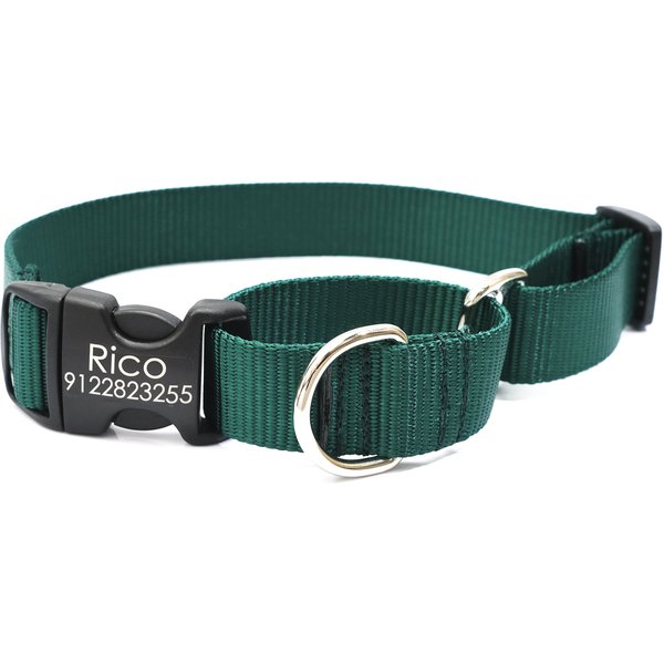 PetSafe Premier Quick Snap Martingale Dog Collar, Green