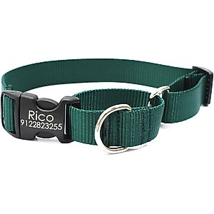 Mimi Green Personalized Nylon Martingale with Black Plastic Buckle Dog Collar, Forest Green, X-Large