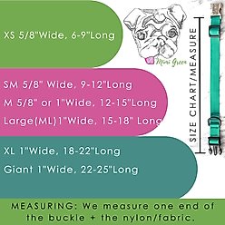 Mimi Green Personalized Nylon Martingale with Black Plastic Buckle Dog Collar, Peacock Blue, Small slide 2 of 2