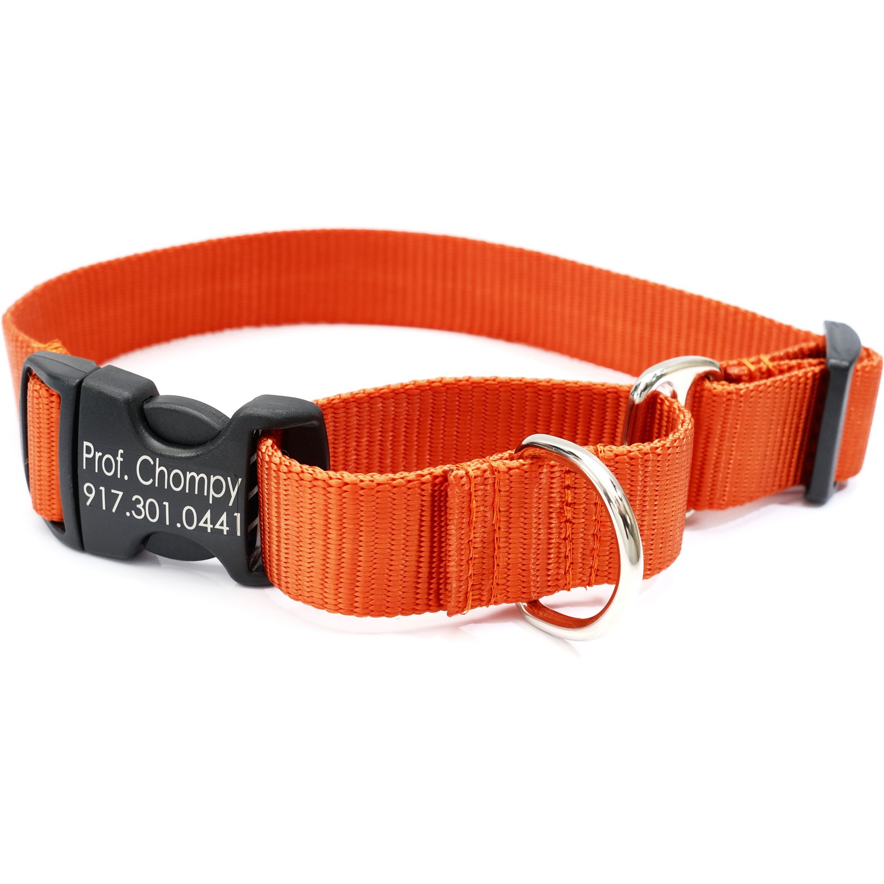 Mimi Green Personalized Nylon Martingale with Black Plastic Buckle Dog Collar, Pumpkin, Small