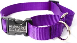 Mimi Green Personalized Nylon Martingale with Black Plastic Buckle Dog Collar, Purple, Large
