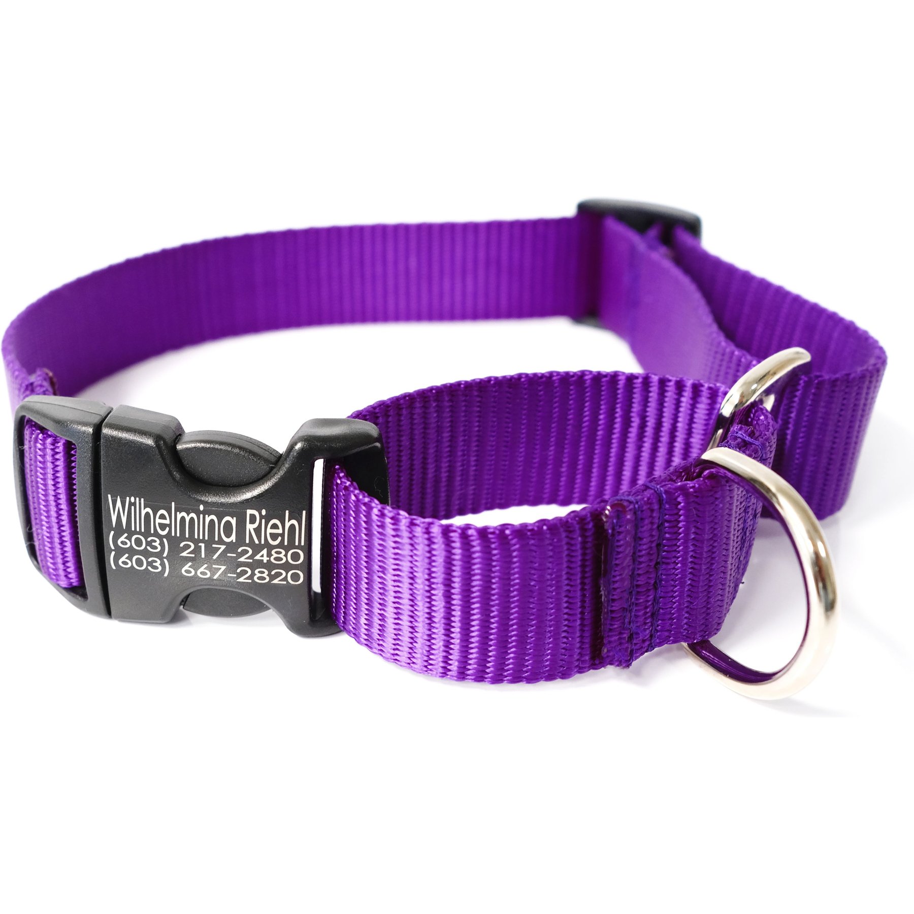 Mimi Green Personalized Nylon Martingale with Black Plastic Buckle Dog Collar, Purple, Large