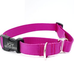 Mimi Green Personalized Nylon Martingale with Black Plastic Buckle Dog Collar, Raspberry, X-Small slide 1 of 6
