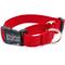 Show in main carousel: Mimi Green Personalized Nylon Martingale with Black Plastic Buckle Dog Collar, Red, Large slide 1 of 7