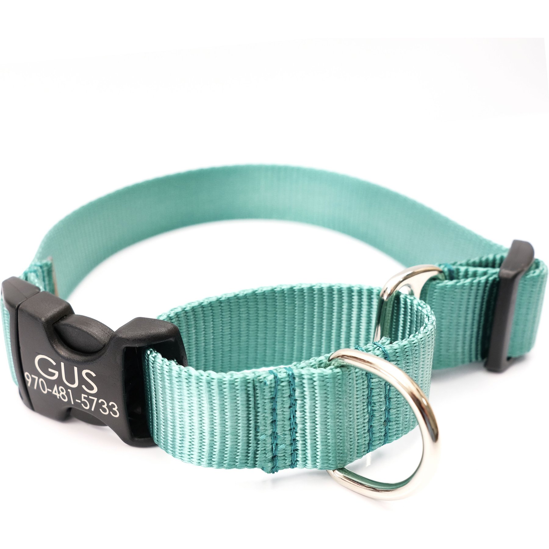 Mimi Green Personalized Nylon Martingale with Black Plastic Buckle Dog Collar, Teal, Medium 1"