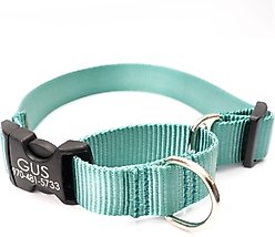 Mimi Green Personalized Nylon Martingale with Black Plastic Buckle Dog Collar, Teal, Small