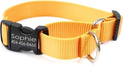 Mimi Green Personalized Nylon Martingale with Black Plastic Buckle Dog Collar, Yellow, Large