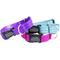 Show in main carousel: Mimi Green Personalized Nylon Reflective Martingale Dog Collar, Purple, Large: 18 to 22-in neck, 1-in wide slide 3 of 3