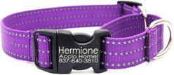 Mimi Green Personalized Nylon Reflective Martingale Dog Collar, Purple, Small: 9 to 12-in neck, 3/4-in wide