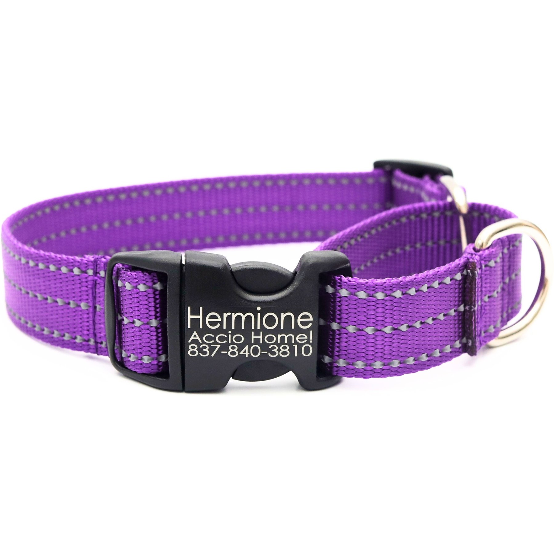 Mimi Green Personalized Nylon Reflective Martingale Dog Collar, Purple, Small: 9 to 12-in neck, 3/4-in wide