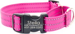 Mimi Green Personalized Nylon Reflective Martingale Dog Collar, Raspberry, Large: 18 to 22-in neck, 1-in wide