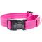 Show in main carousel: Mimi Green Personalized Nylon Reflective Martingale Dog Collar, Raspberry, Large: 18 to 22-in neck, 1-in wide slide 1 of 2
