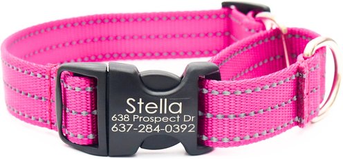 Pawtitas Personalized Reflective Dog Collar