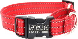 Mimi Green Personalized Nylon Reflective Martingale Dog Collar, Red, Large: 18 to 22-in neck, 1-in wide