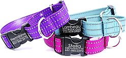 Mimi Green Personalized Nylon Reflective Martingale Dog Collar, Red, Small: 9 to 12-in neck, 3/4-in wide slide 2 of 3