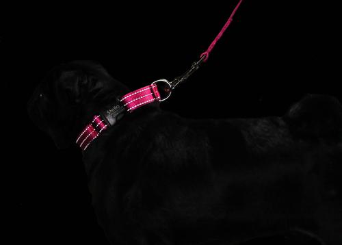 Show full view: Mimi Green Personalized Nylon Reflective Martingale Dog Collar, Red, Small: 9 to 12-in neck, 3/4-in wide slide 2 of 3