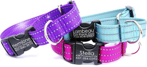 Show full view: Mimi Green Personalized Nylon Reflective Martingale Dog Collar, Royal Blue, Large: 18 to 22-in neck, 1-in wide slide 3 of 3